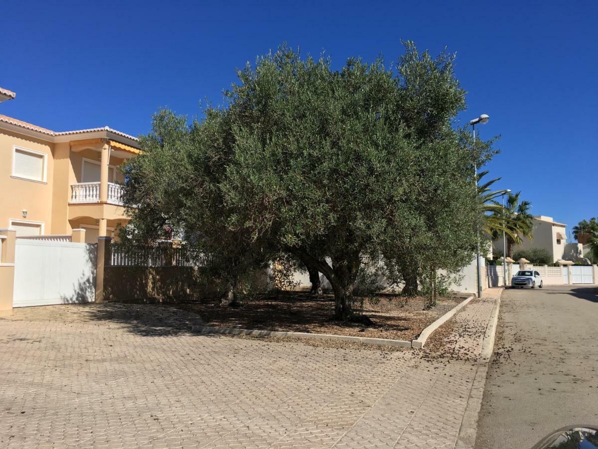 Villa Frente al Mar - Velazquez Oliva Exterior foto